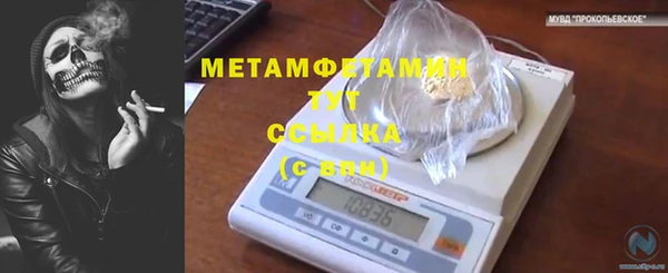 прущие крисы Верея
