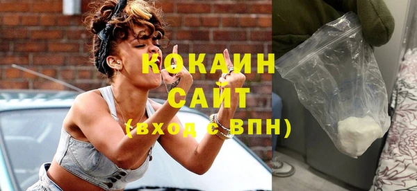 индика Волоколамск