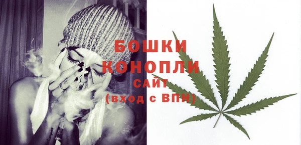 индика Волоколамск
