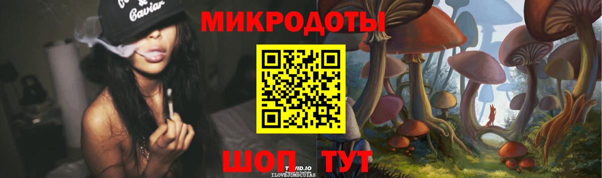 Выкса  Псилоцибиновые грибы Psilocybe  Вход с VPN 